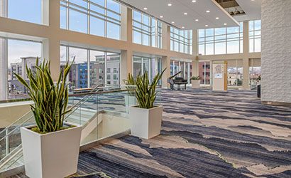Open lobby area with tall windows, large plants, and a black baby grand piano