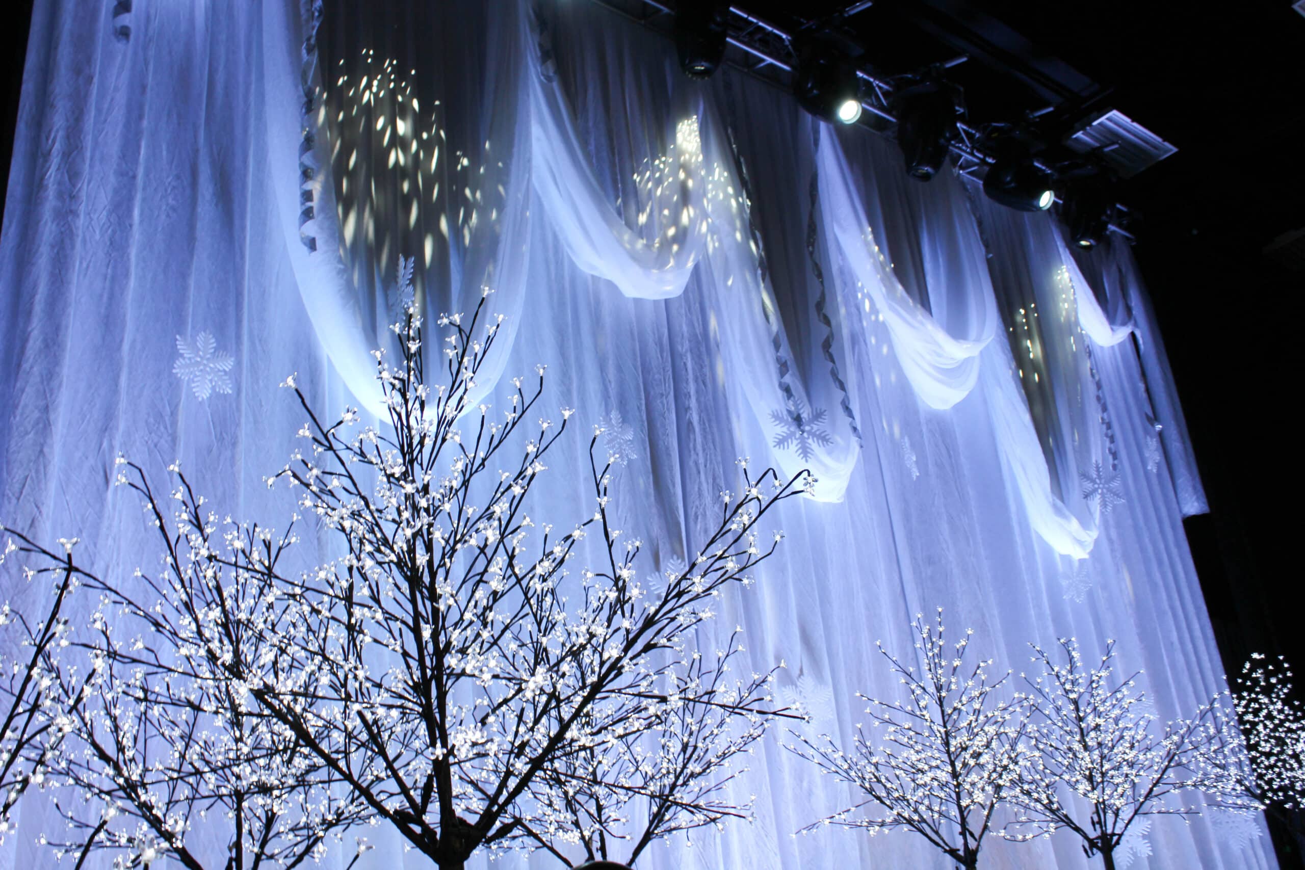 tree-like decorations in front of draped, wintry backdrop