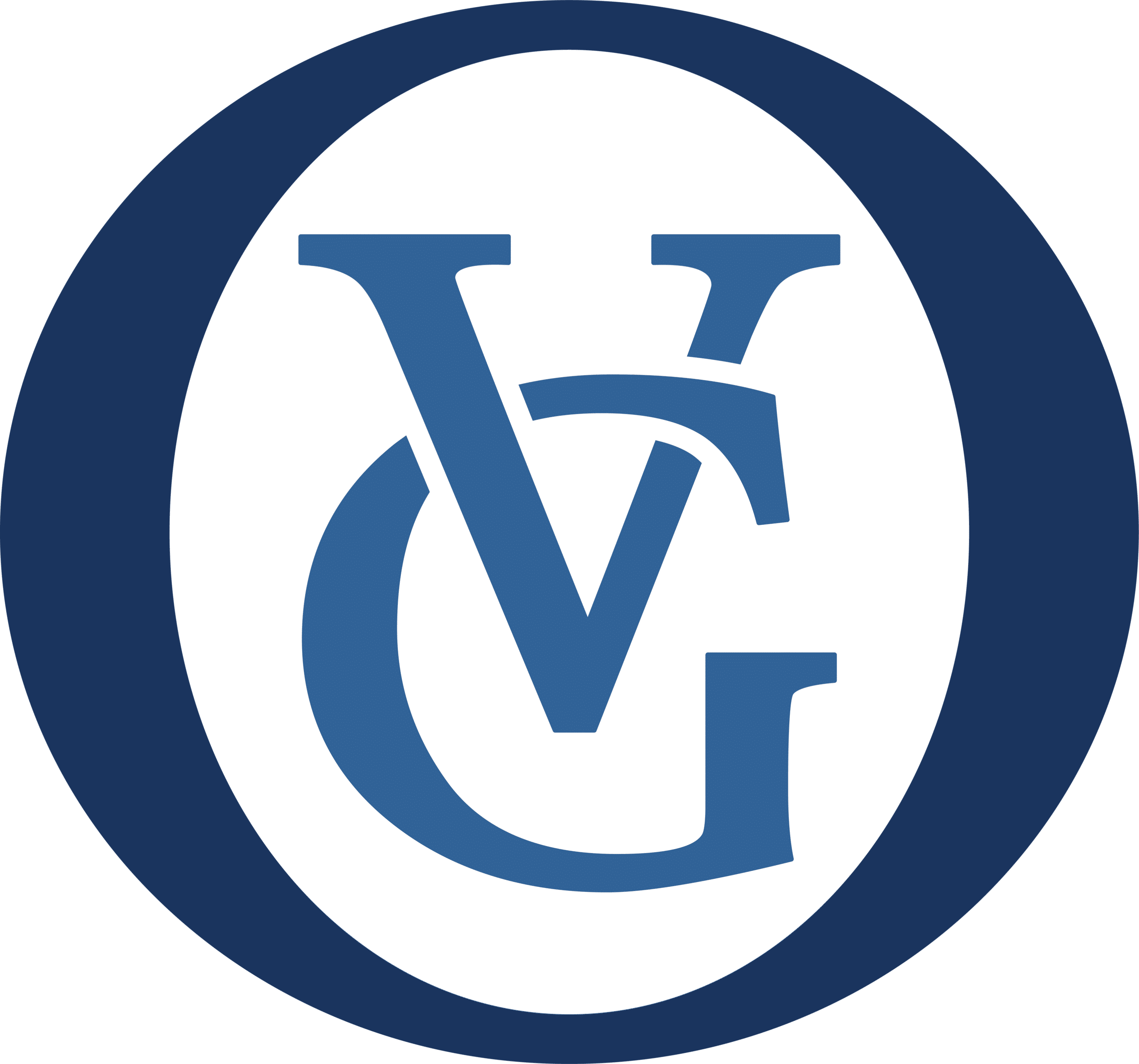 OVG Circular Logo